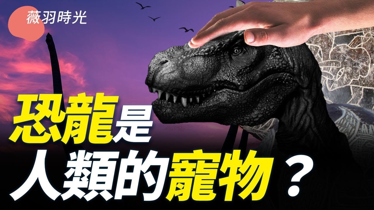 私密：[ID: 2g0Ljpdu-pQ] Youtube Automatic