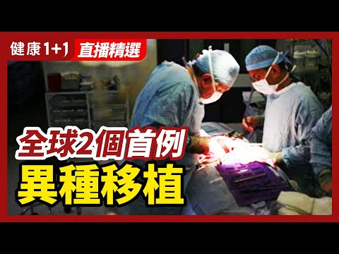 [ID: _ia79HrtNLU] Youtube Automatic