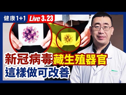 [ID: wf9-vz4kygY] Youtube Automatic