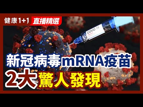 私密：[ID: NEhFe8J3iKA] Youtube Automatic