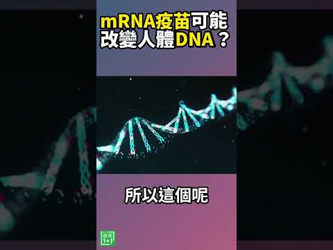 [ID: eKzZht3bDOo] Youtube Automatic