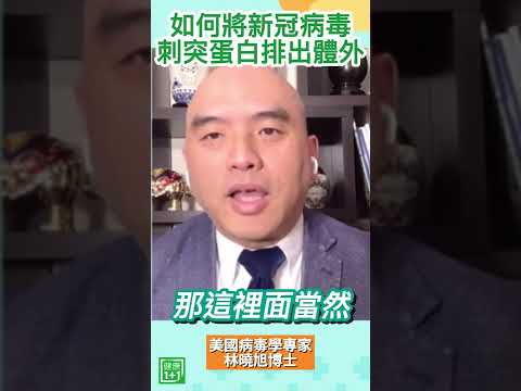 [ID: pla4s9006AY] Youtube Automatic