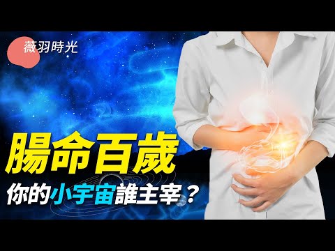 私密：[ID: B34GgHD20FU] Youtube Automatic