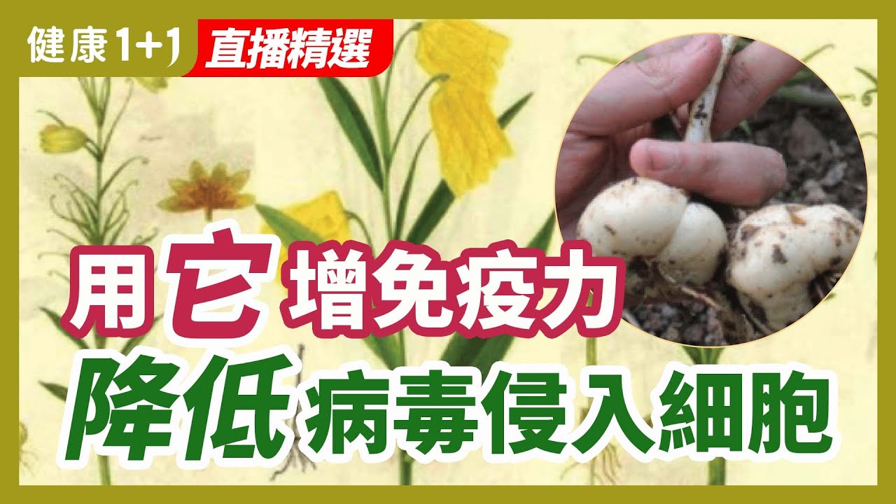 [ID: 0fhpiB1Fh5w] Youtube Automatic