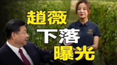 [ID: CnvY6eoOO0c] Youtube Automatic