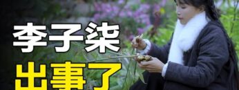 [ID: CNXGy15BH-Q] Youtube Automatic