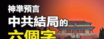 [ID: gjt_rJv8Flc] Youtube Automatic