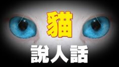 [ID: ioxQieayvSc] Youtube Automatic