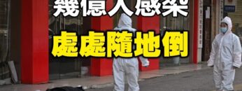 [ID: obifsGuMqmc] Youtube Automatic