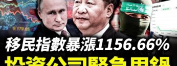 [ID: 7WrobZNZ9wc] Youtube Automatic