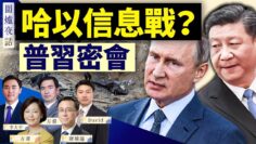 [ID: AaTmNeD-h_8] Youtube Automatic