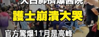 [ID: LESKDwLXSYY] Youtube Automatic