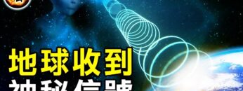 [ID: mMJi_8cxZa8] Youtube Automatic