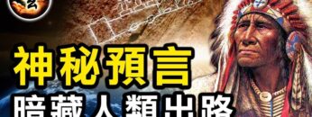 [ID: wyC3GEEG8b0] Youtube Automatic