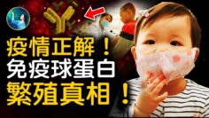 [ID: Yi7vGWNy3Wg] Youtube Automatic