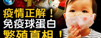 [ID: Yi7vGWNy3Wg] Youtube Automatic