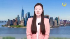 [ID: 4HW8HlKHlAY] Youtube Automatic