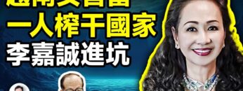 私密：[ID: 0352TPmVLBI] Youtube Automatic