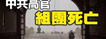 [ID: IzhSY3Ai2dE] Youtube Automatic