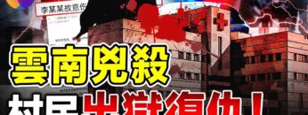 [ID: n03eyStt2K0] Youtube Automatic