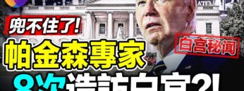 [ID: JeRZI4caICs] Youtube Automatic