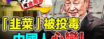 [ID: PkIH78NuLZI] Youtube Automatic