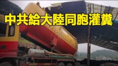 [ID: q9SbeUtgnT4] Youtube Automatic