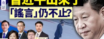 [ID: WvCh1BnbqOo] Youtube Automatic