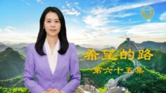 [ID: HPQr0XWAUI8] Youtube Automatic