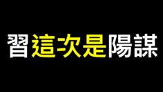 [ID: cYc5ykgWPAM] Youtube Automatic