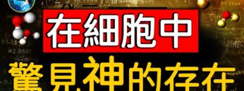 [ID: yfmFANPYrJc] Youtube Automatic