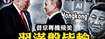 私密：[ID: E9OZgEVondY] Youtube Automatic