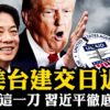 川普石破茂会面,台湾有事,就是日本有事、美国有事!美国会否定中共“一中政策”美台建交进入日程!美国国际开发署惊人黑幕被揭,民主旗帜下的反美集团!【江峰漫谈20250210第1020期】