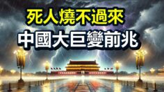 [ID: pQO9HeSwGYY] Youtube Automatic