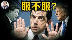 [ID: ER_zz34mVpc] Youtube Automatic