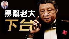 [ID: mlvRgeDM2do] Youtube Automatic