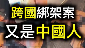 [ID: 35N7KKwFZwU] Youtube Automatic