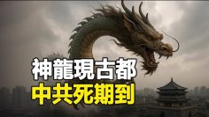 [ID: AWvp09sIw5A] Youtube Automatic