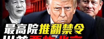 私密：[ID: 2ngPwiV7QQY] Youtube Automatic