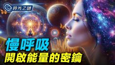 [ID: BDwarAZfDYY] Youtube Automatic