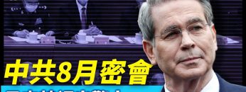 私密：[ID: E-fcQYXf1Zw] Youtube Automatic