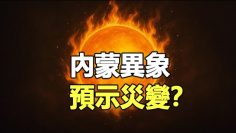 [ID: e8Mvthy29p0] Youtube Automatic