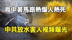 [ID: N0llstSx5zk] Youtube Automatic