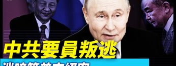 [ID: pw-JyGiYoBI] Youtube Automatic