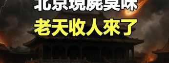 [ID: 6LQ4MXuuM8c] Youtube Automatic