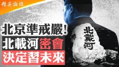 [ID: 8fq_dH1riH4] Youtube Automatic