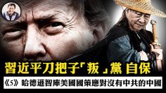 [ID: H_7sIVQ42EE] Youtube Automatic