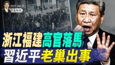 [ID: kng-wANXiqk] Youtube Automatic