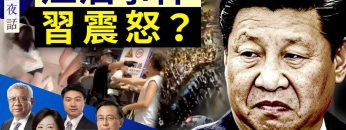 [ID: QQAVdE-8n34] Youtube Automatic