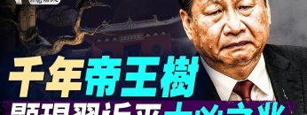 [ID: 3cDLPQHq80k] Youtube Automatic